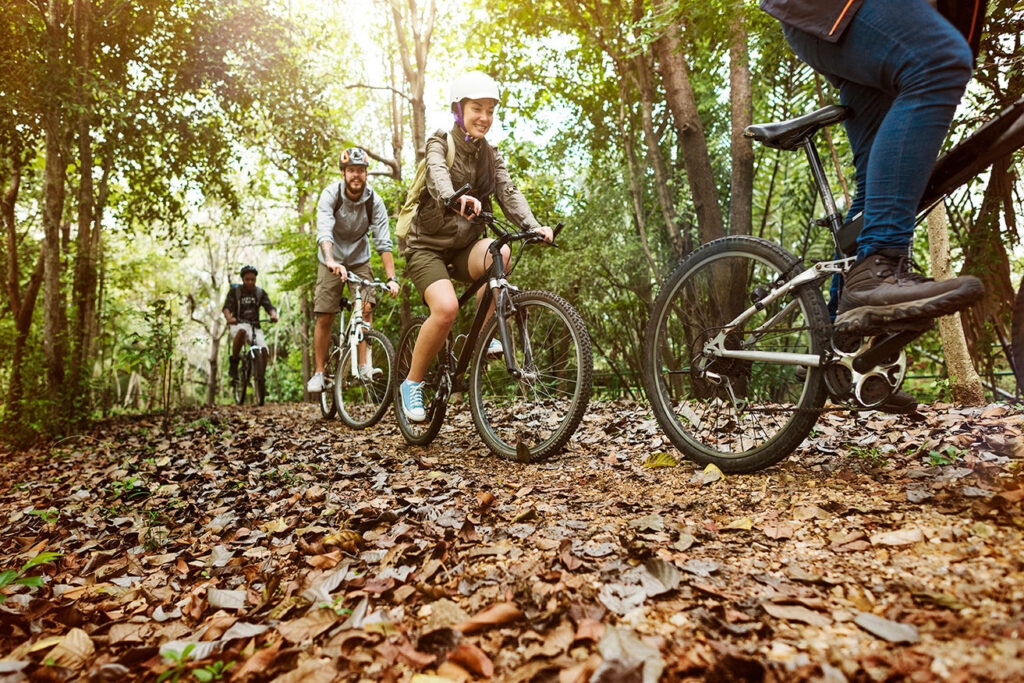 Gruppe von Freunden beim Mountainbiken im Wald auf einem Laub bedeckten Pfad.