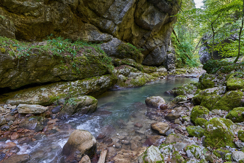 Klarer Bach fließt durch eine felsige Schlucht umgeben von üppigem Grün